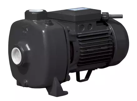 Pretočna črpalka Rem Power WPEm 13000 G 230V