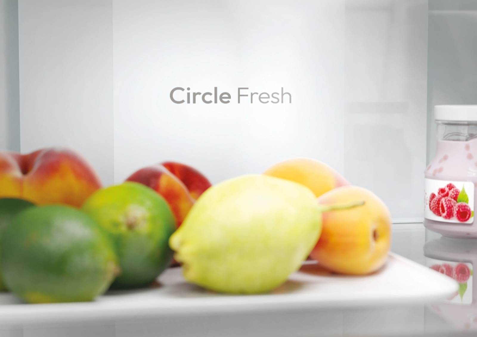 Hladilnik Candy ECN2CQTEX206 7