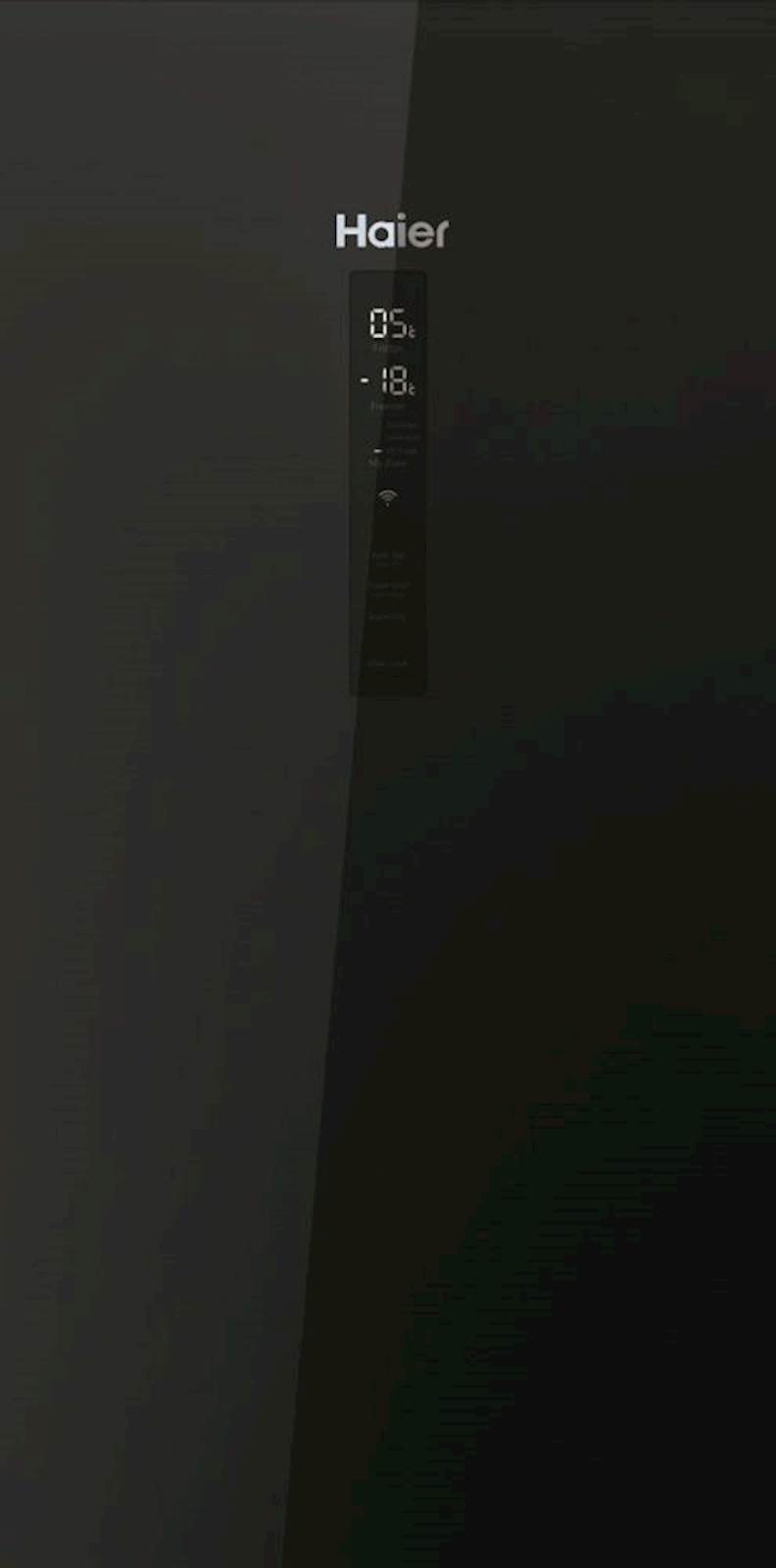 Hladilnik Haier HTW7720DNGB 7