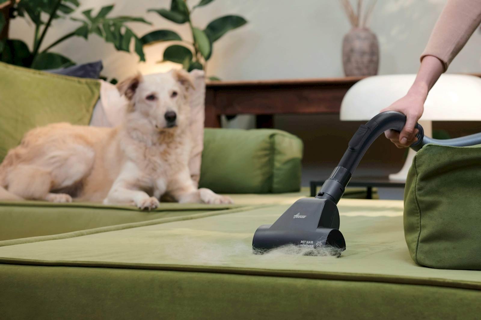 Sesalnik Hoover HP210P 011 12